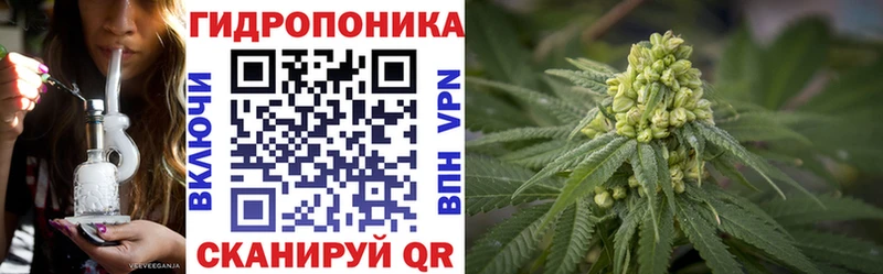 Что такое Шенкурск Alpha-PVP  Меф  Гашиш  Галлюциногенные грибы  МАРИХУАНА 