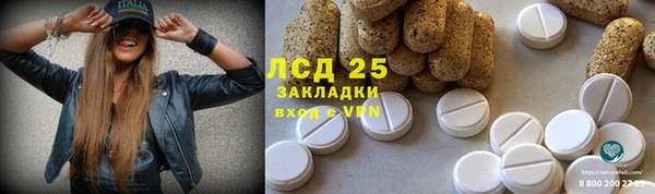 трава Бородино