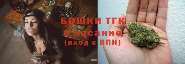 трава Бородино