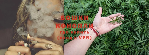 трава Бородино