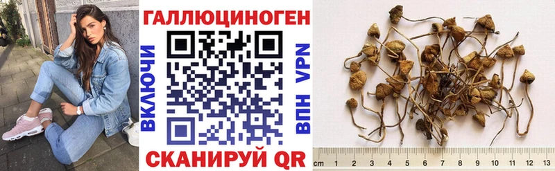 купить наркотик  Шенкурск  Галлюциногенные грибы Magic Shrooms 